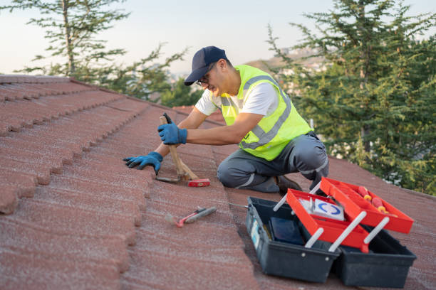 Best Metal Roofing Contractor  in Belle Plaine, MN