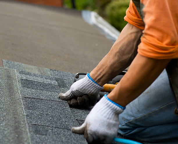 Best New Roof Installation  in Belle Plaine, MN