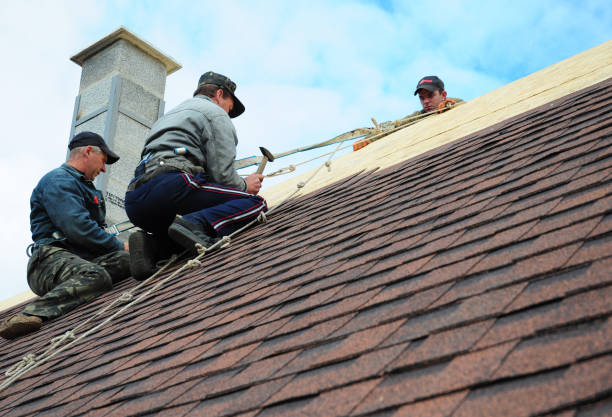 Best Roof Gutter Cleaning  in Belle Plaine, MN